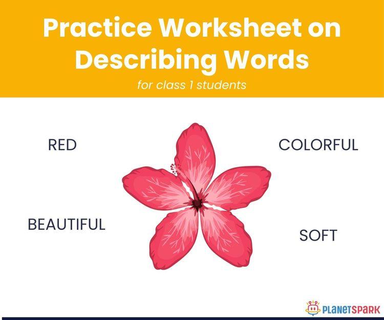 Describing Words Worksheet – Class 1 English