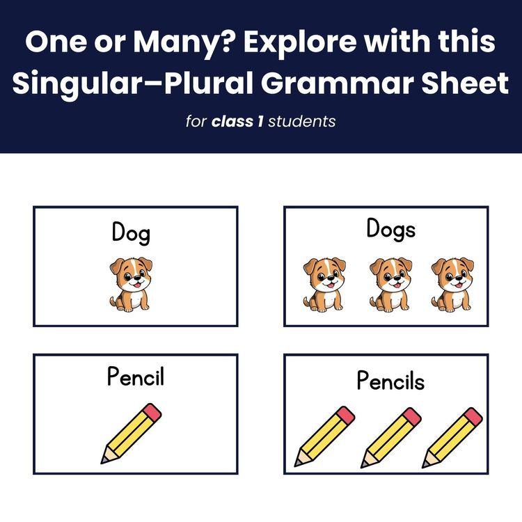 Plural vs Singular – Class 1 Grammar Practice