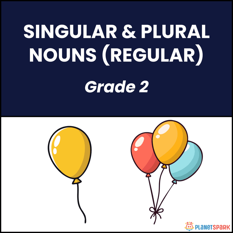 Class 2 Regular Singular and Plural Nouns Worksheet