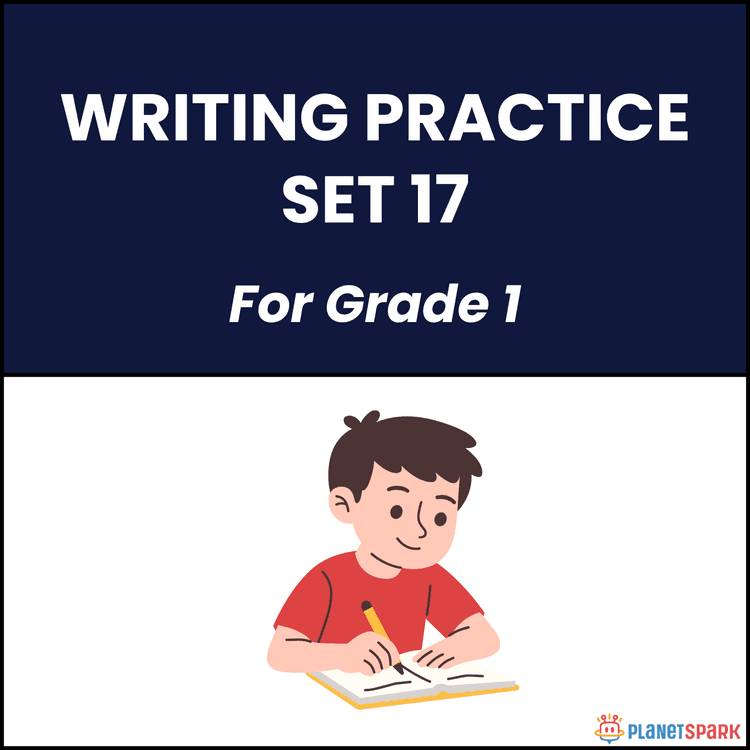 Class 1 English Worksheet on Sentence Writing 17