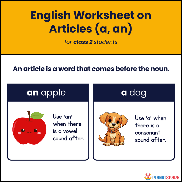 Class 2 English Practice for A, An, The (Articles)
