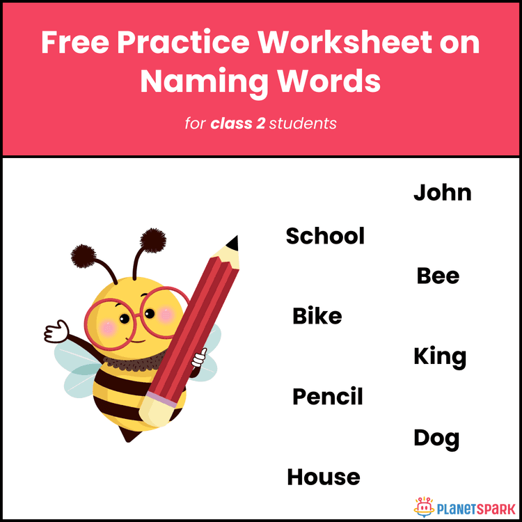 Class 2 Worksheet - Identifying Nouns in Sentences
