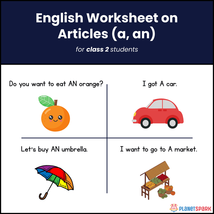 Class 2 Article Worksheet for A, An, The 