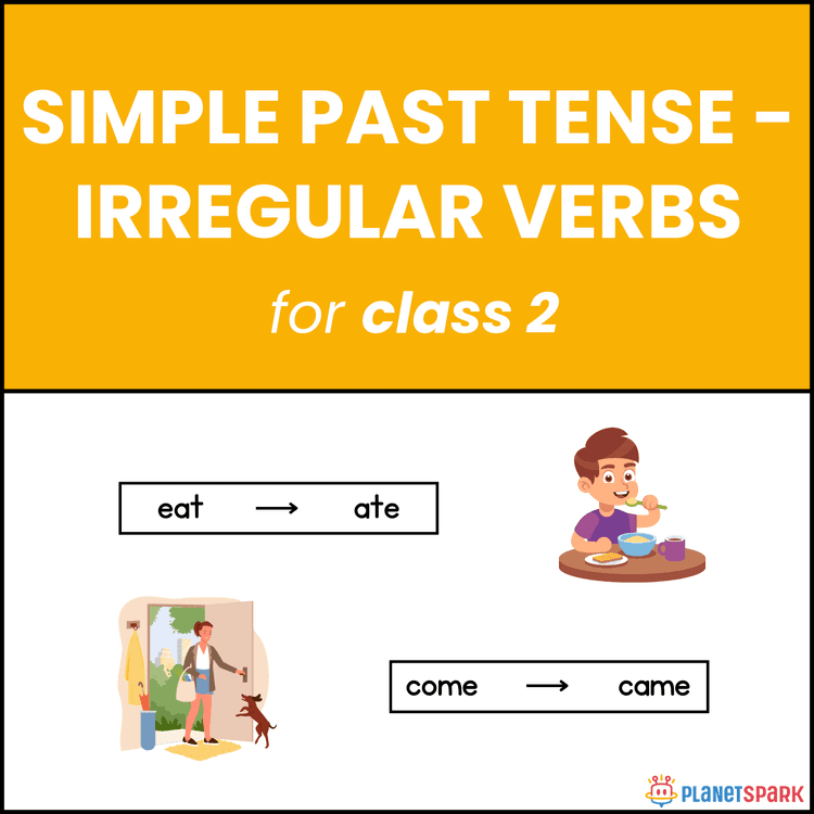 Class 2 Worksheet on Irregular Verbs