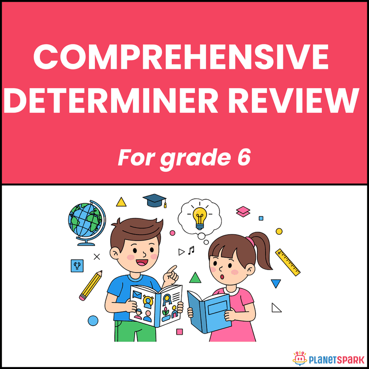 Class 6 English Worksheet on Comprehensive Determiner Review
