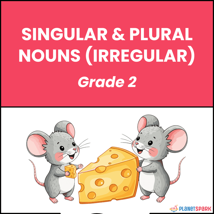 Class 2 Irregular Singular and Plural Nouns Worksheet