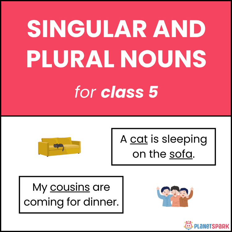 Class 5 Noun Worksheet on Singular and Plural Forms – Rules and Exceptions