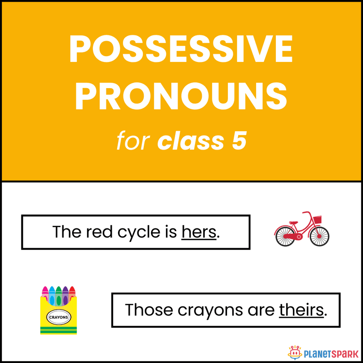Class 5 English Worksheet on Possessive Pronouns – Ownership Words