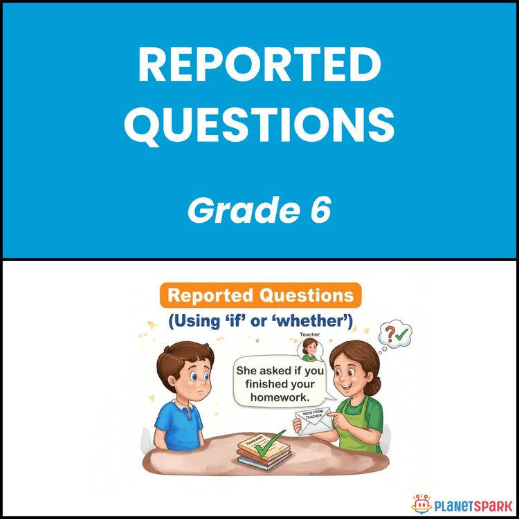 Class 6 Reported Questions English Grammar Worksheet