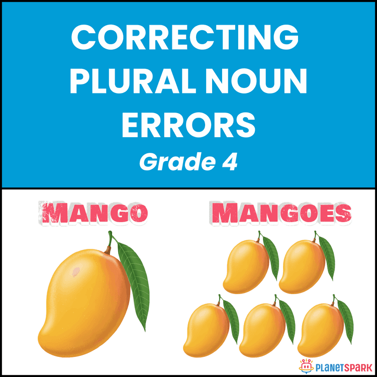 Class 4 English Worksheet on Plural Noun Errors