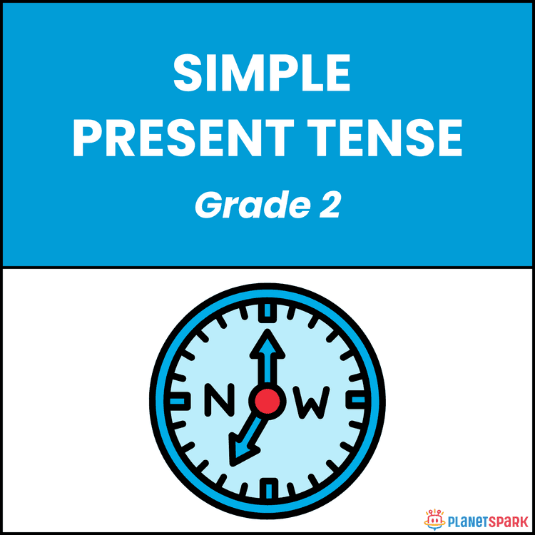 Class 2 Simple Present Tense Daily Actions Worksheet