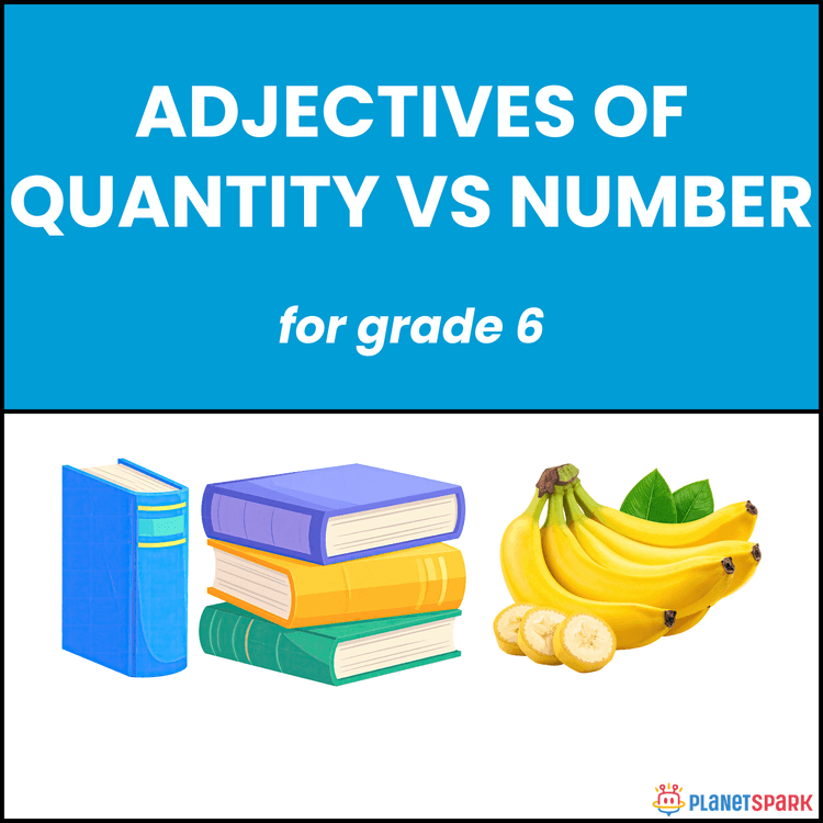 Class 6 Worksheet on Adjectives on Quantity vs Number