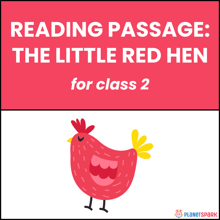 Class 2 Reading Passage: The Little Red Hen