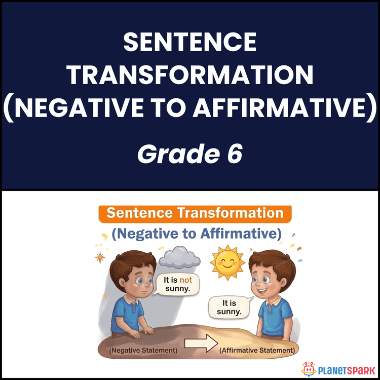Class 6 Negative to Affirmative Sentence Worksheet