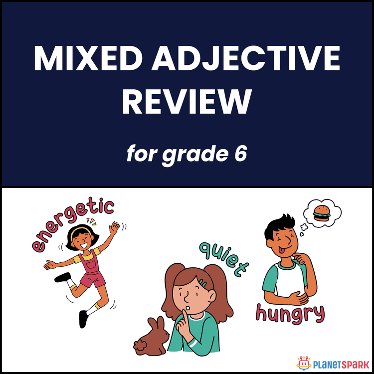 Class 6 Grammar Worksheet on Mixed Adjective Review