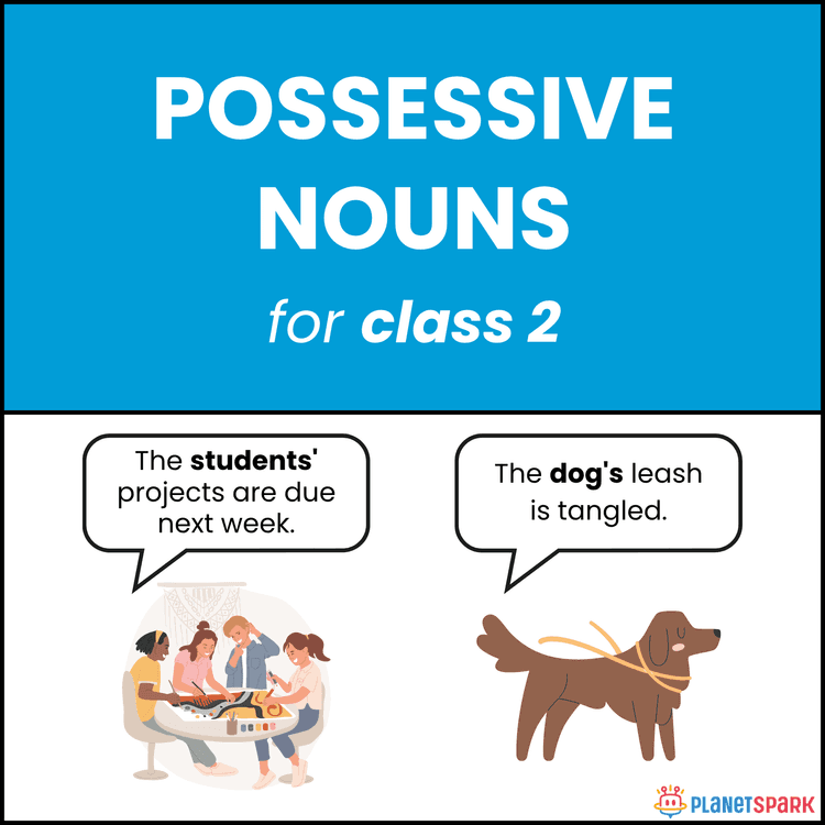Class 2 Possessive Nouns Grammar Worksheet