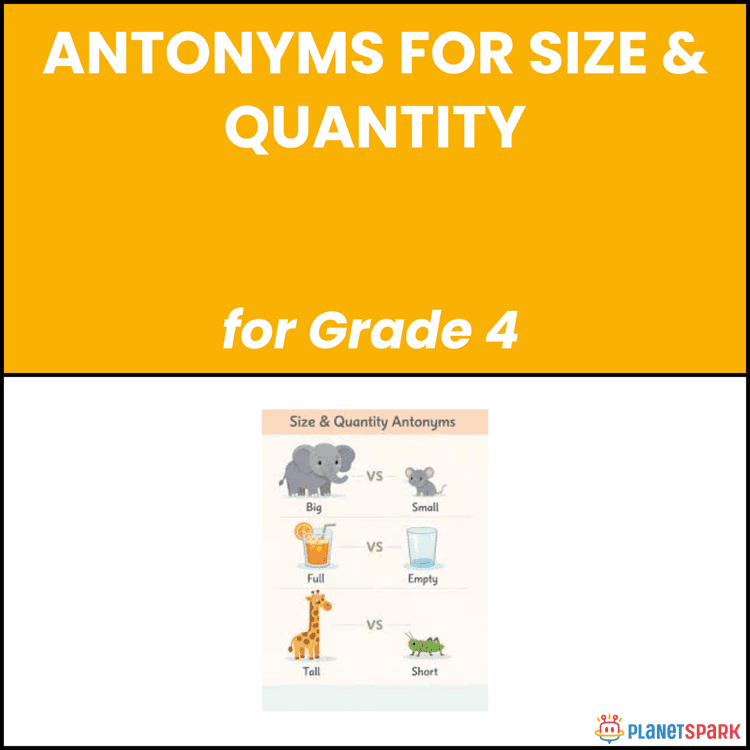 Class 4 Antonyms for Size and Quantity