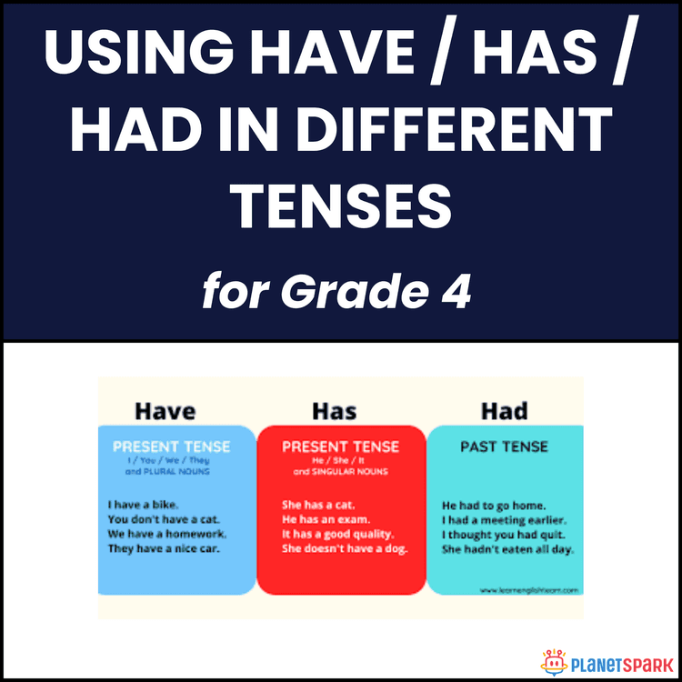 Class 4 Have Has Had Grammar Worksheet