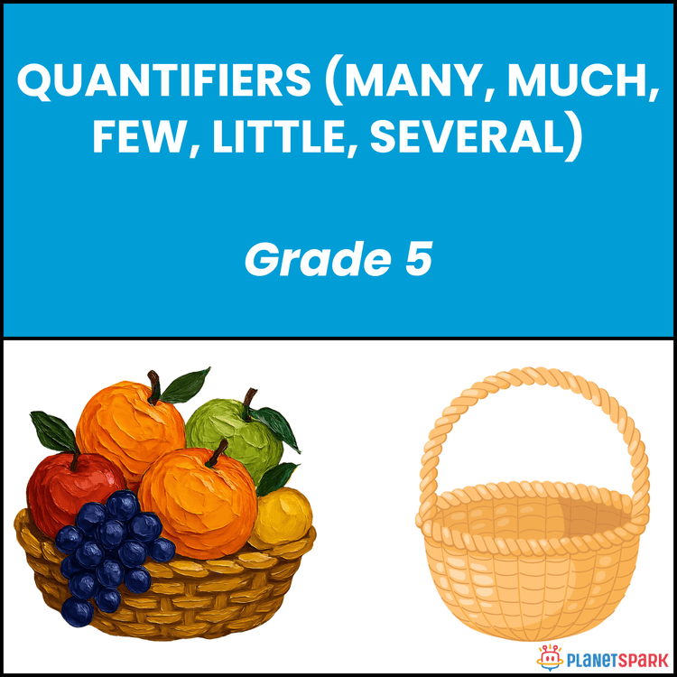 Class 5 Grammar Worksheet on Quantifiers