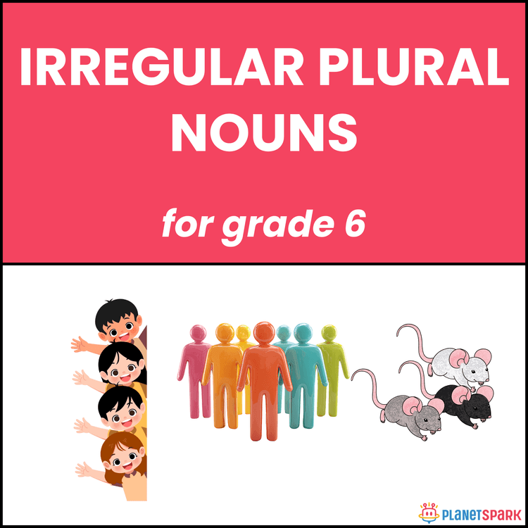 Class 6 Worksheet on Irregular Plural Nouns