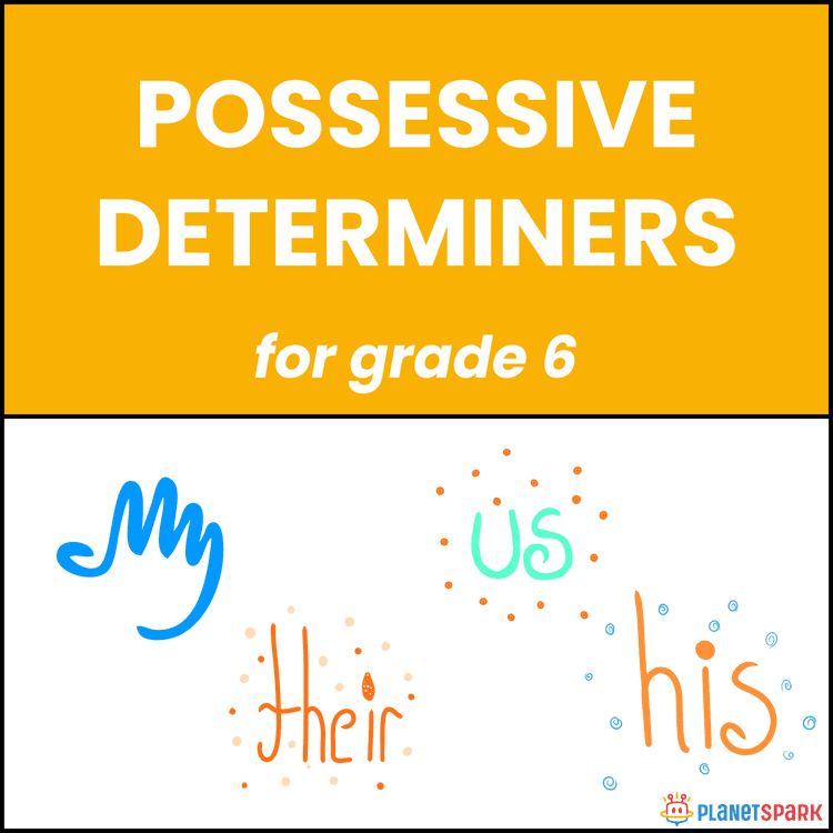 Class 6 Worksheet on Possessive Determiners