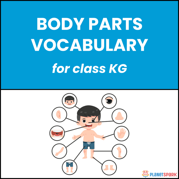KG English Worksheet on Human Body Parts