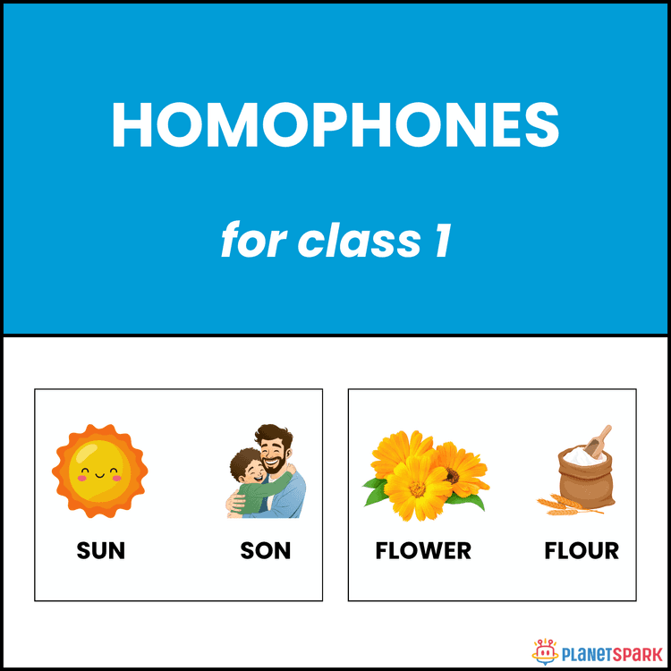Class 1 English Worksheet on Easy Homophones