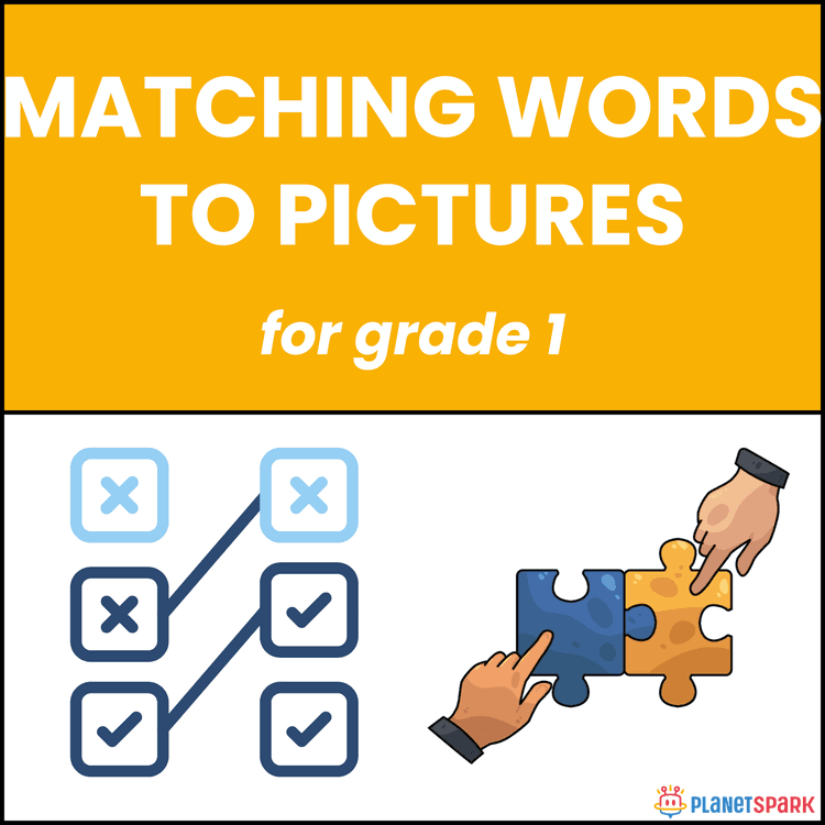 Class 1 English Worksheet on Matching Words to Pictures