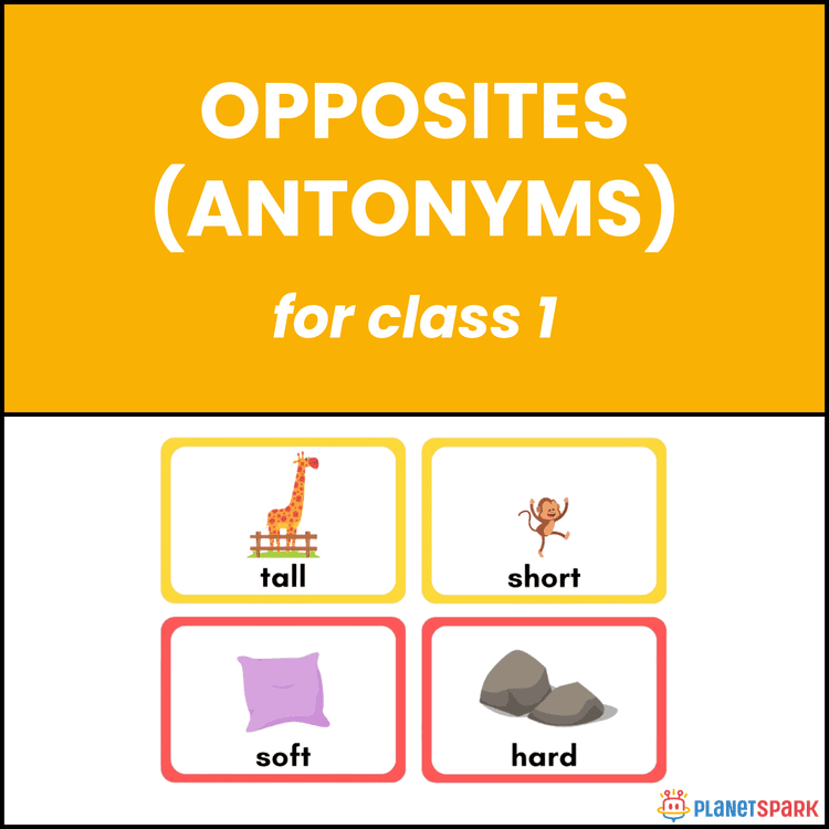 Class 1 English Worksheet on Opposite Word Pairs