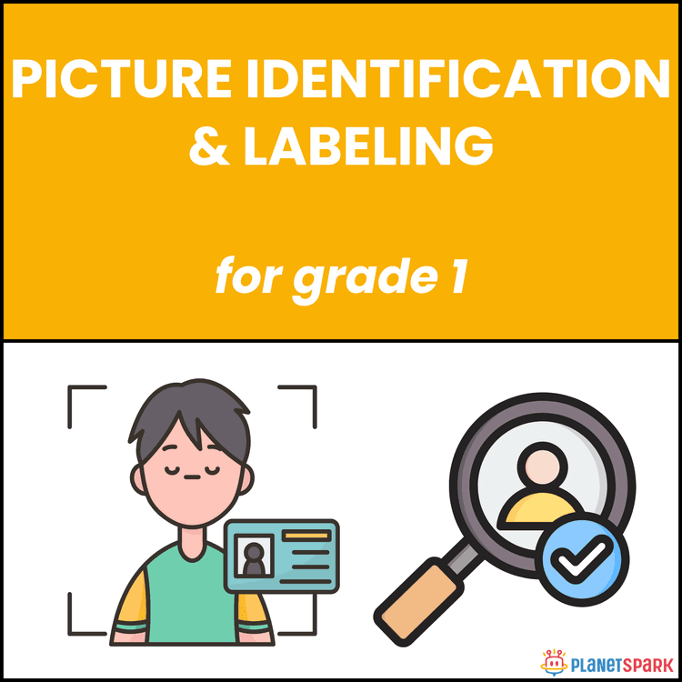 Class 1 English Worksheet on Picture Identification & Labeling