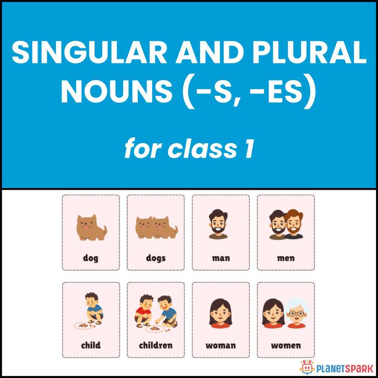 Class 1 English Worksheet on Singular Plural Nouns
