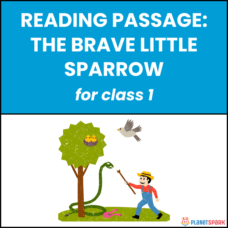 Class 1 Reading Passage on The Brave Little Sparrow