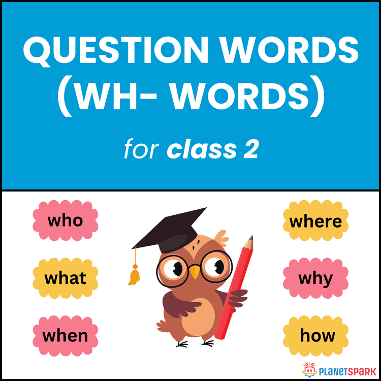Class 2 English Grammar Worksheet: Question Words