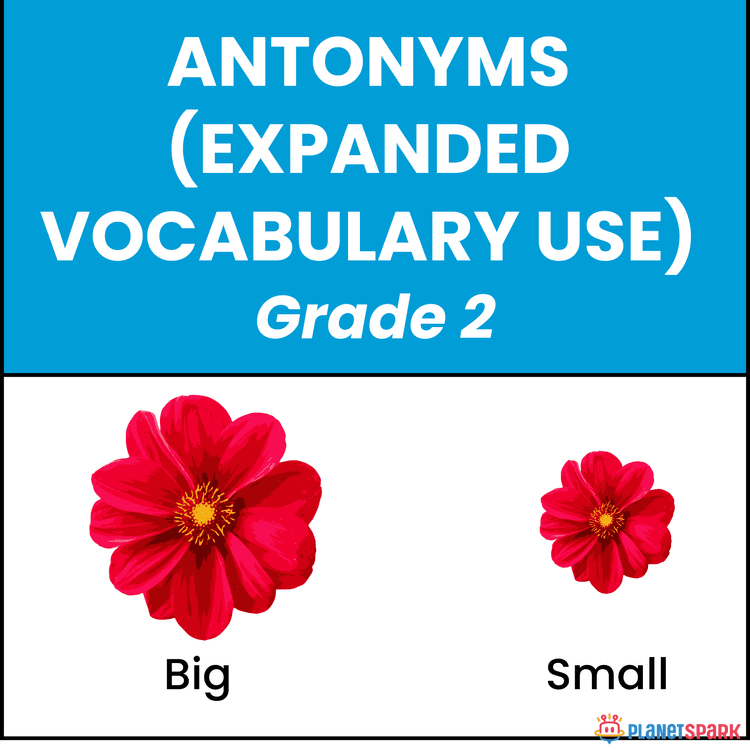 Class 2 English Grammar Worksheet on Antonyms
