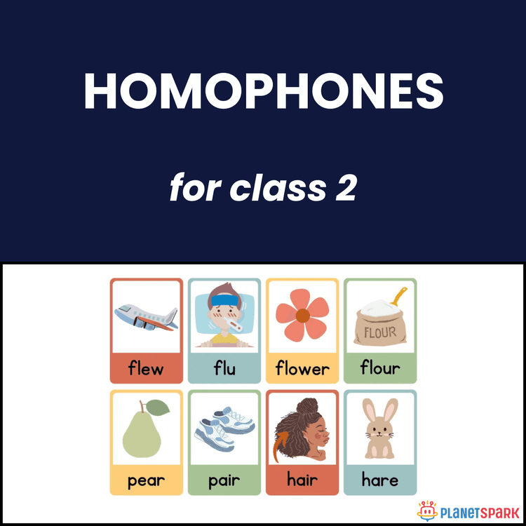 Class 2 English Grammar Worksheet on Homophones