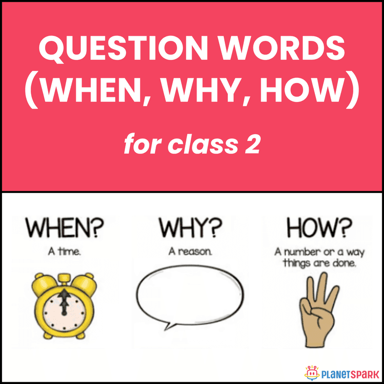Class 2 English Grammar Worksheet on Question Words