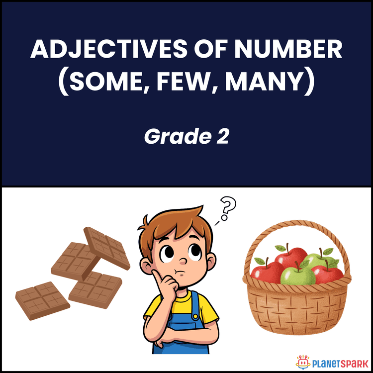 Class 2 English Worksheet on Adjectives of Number