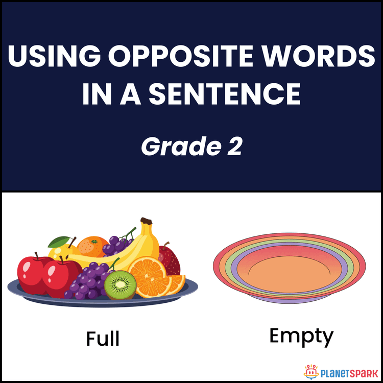 Class 2 English Worksheet on Opposite Words Usage