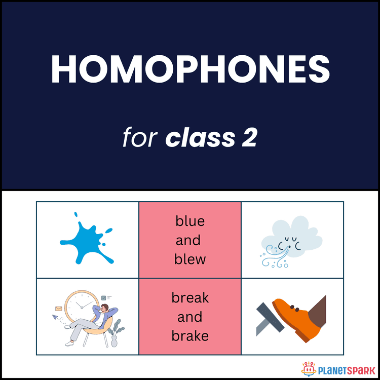 Class 2 Grammar Practice Sheet on Homophones