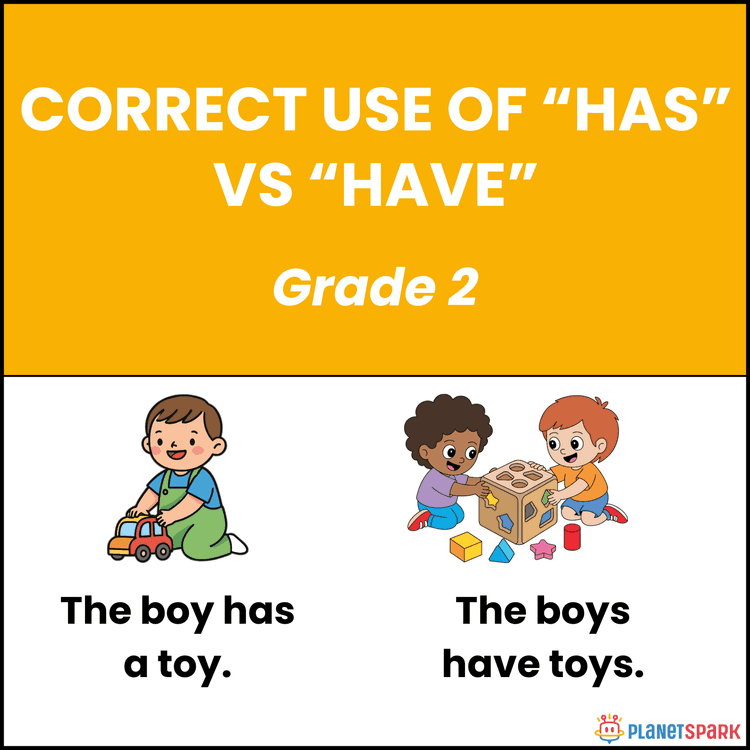 Class 2 Grammar Worksheet to Use Has and Have