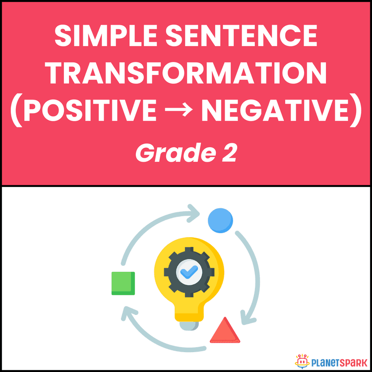 Class 2 Positive to Negative Sentence Transformation