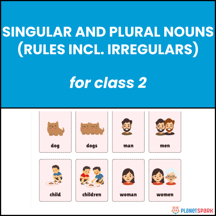 Class 2 Worksheet on Singular and Plural Nouns