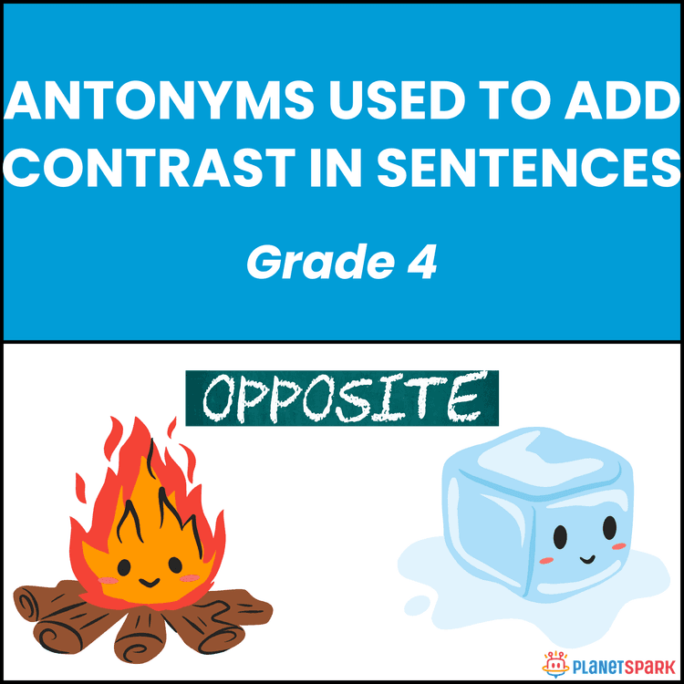 Class 4 Antonyms for Contrast Grammar Worksheet