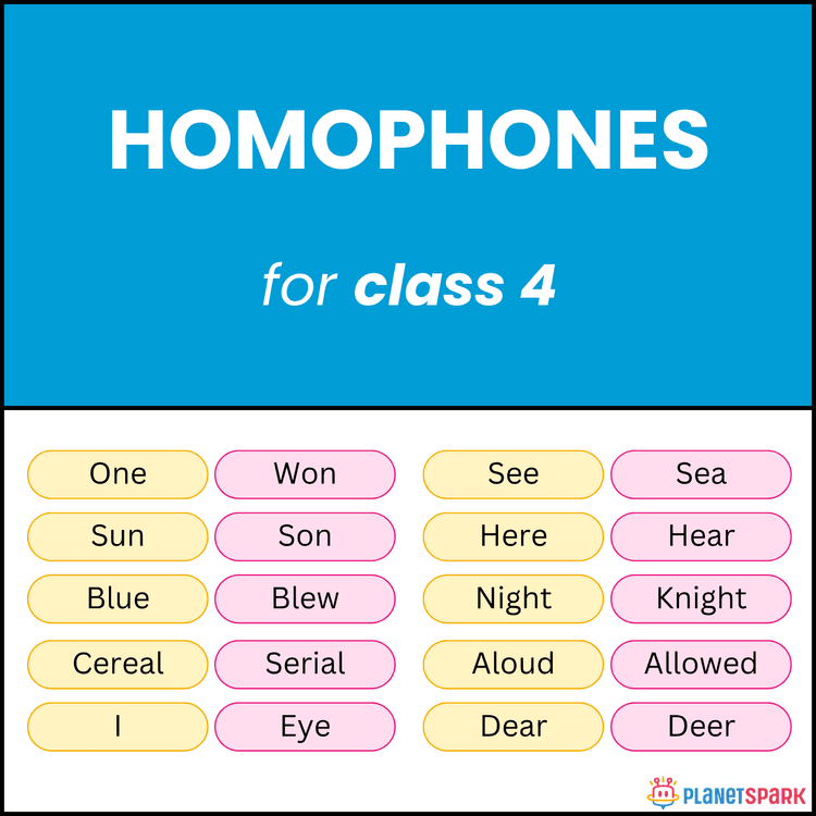 Class 4 English Grammar Worksheet on Homophones