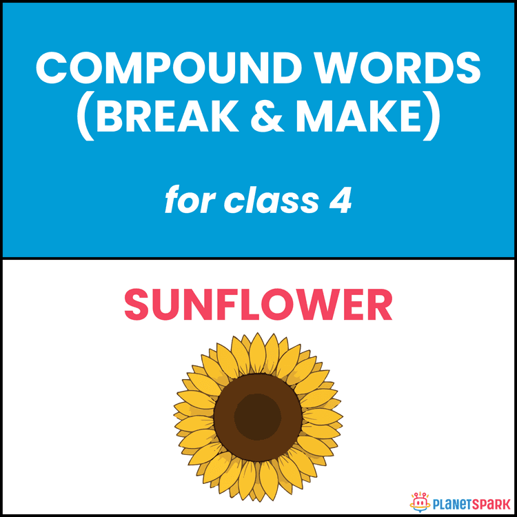 Class 4 Grammar Worksheet on Break and Make Compound Words