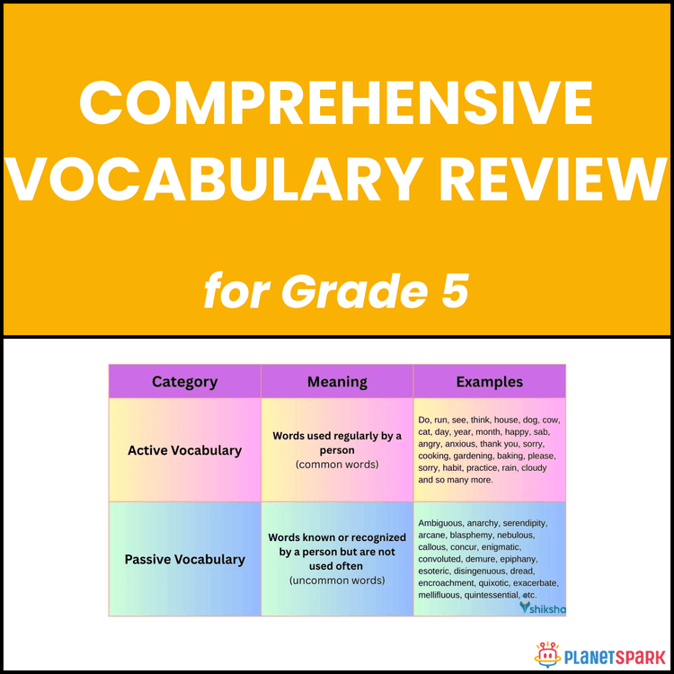 Class 5 Comprehensive Vocabulary Review Worksheet