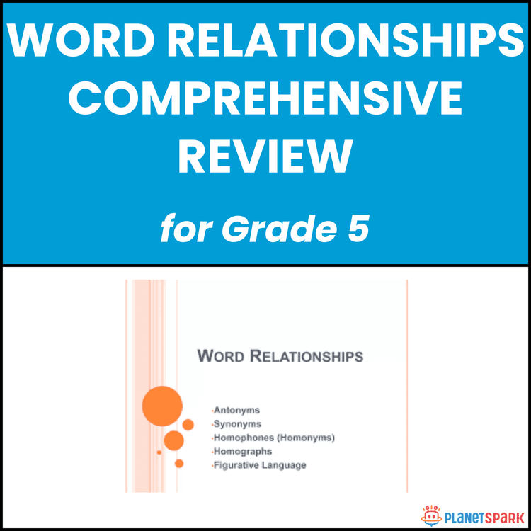 Class 5 Comprehensive Word Relationships Worksheet