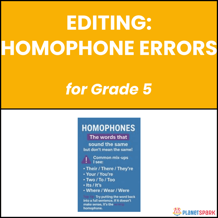 Class 5 Editing Homophone Errors Grammar Worksheet