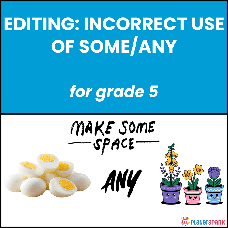 Class 5 Editing Worksheet: Some/Any Errors