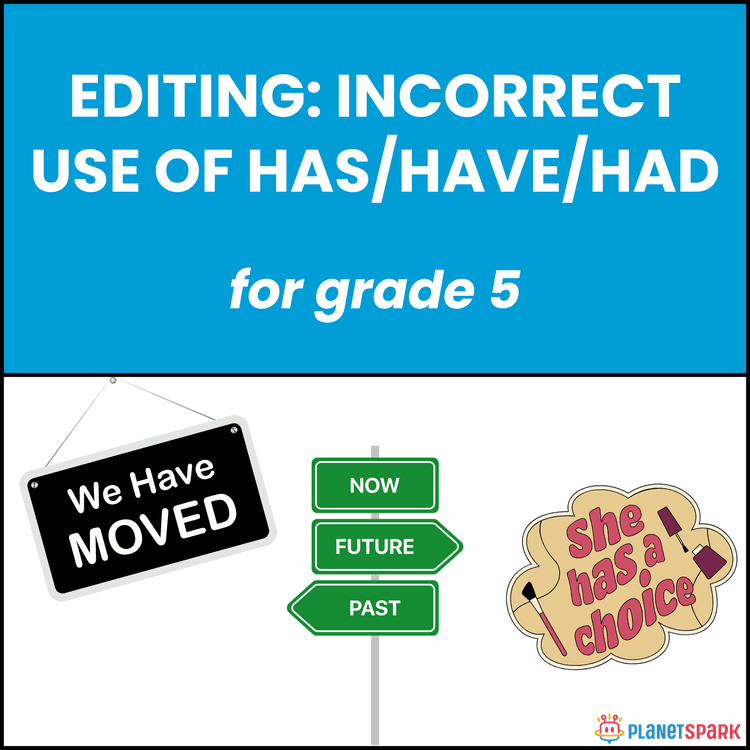 Class 5 English Grammar Worksheet on Has Have Had